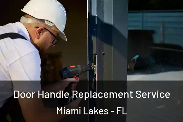 Door Handle Replacement Service Miami Lakes - FL
