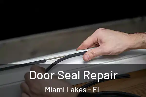 Door Seal Repair Miami Lakes - FL